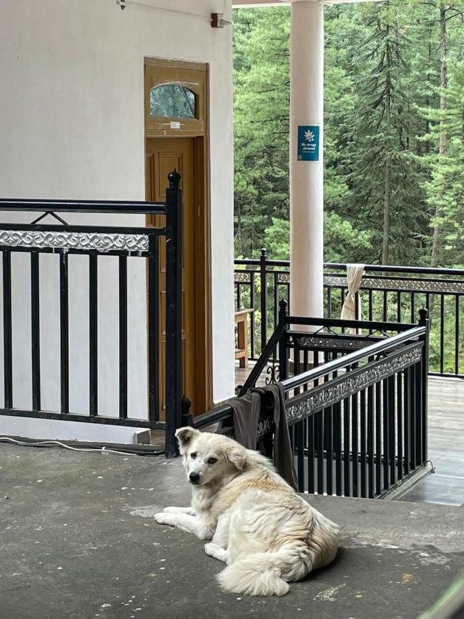 Wabi Sabi Riverside Hostel Kasol Luaran gambar